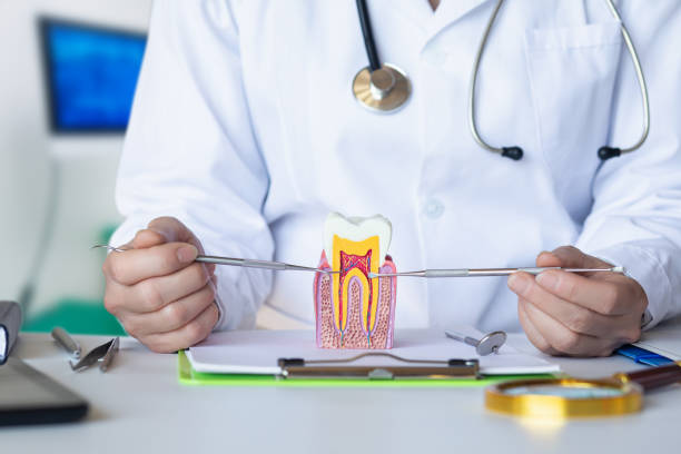 Best Weekend Emergency Dentist in Lucasville, OH